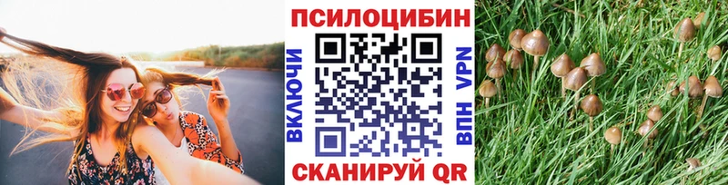 цена наркотик  Воронеж  дарк нет клад  Псилоцибиновые грибы мухоморы 